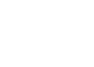 Dena Sports Physio